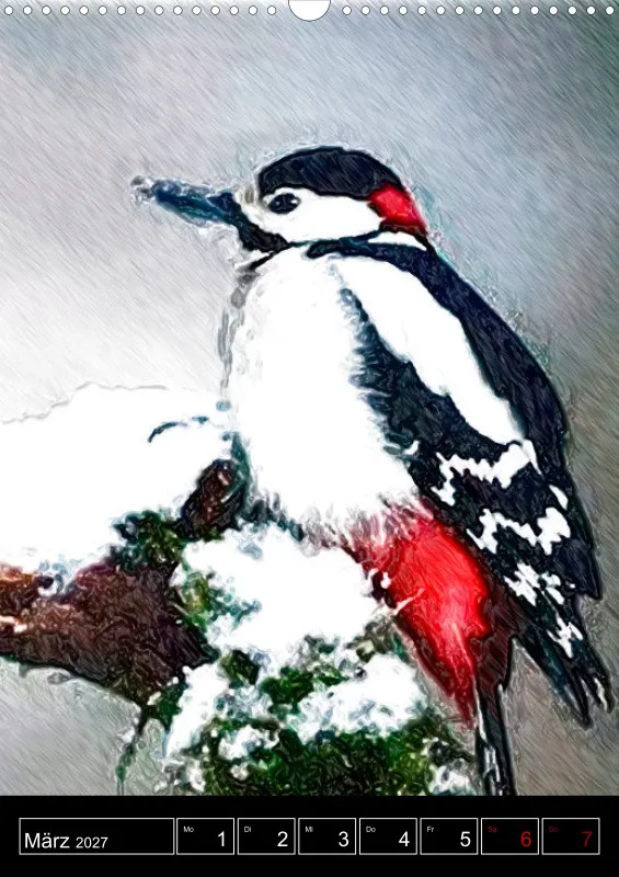 des oiseaux