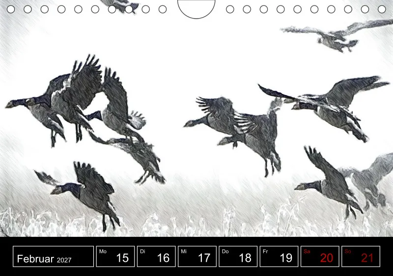 des oiseaux