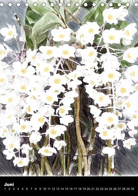Florale Pastelle