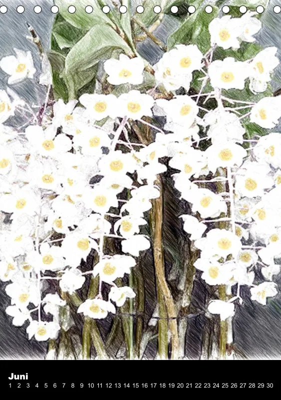 Florale Pastelle