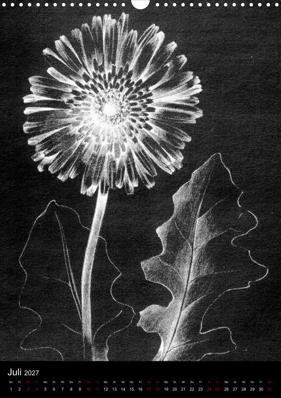 Fleures Noires(