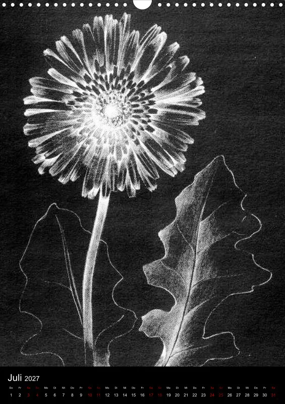 Fleures Noires(