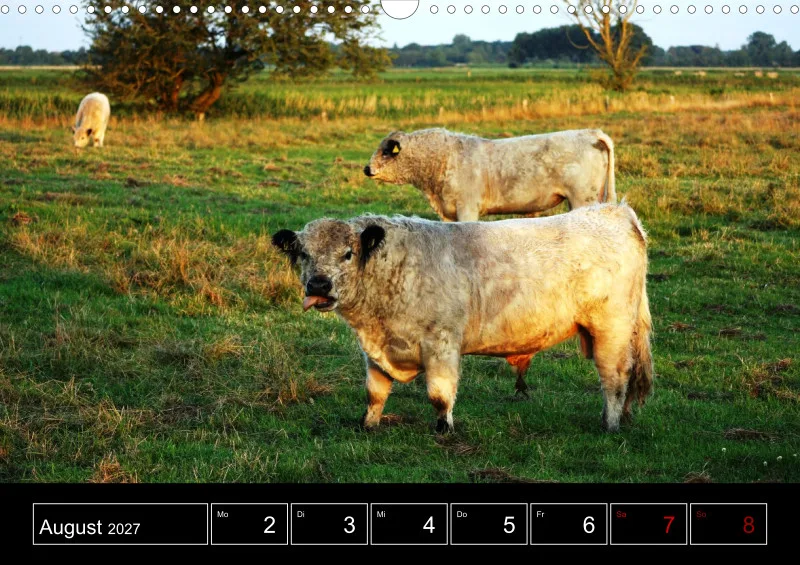 Animaux d'Europe