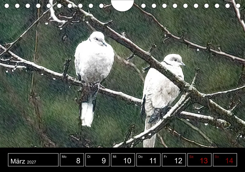 des oiseaux