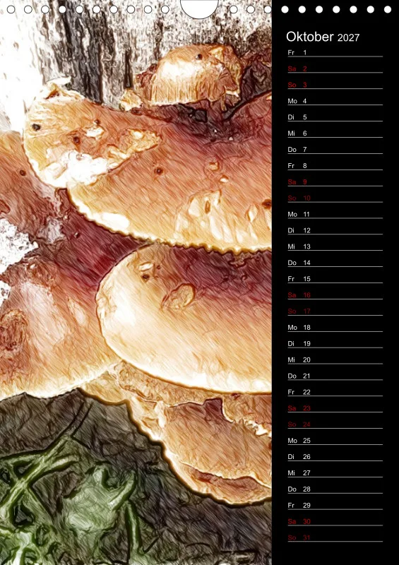 Champignons