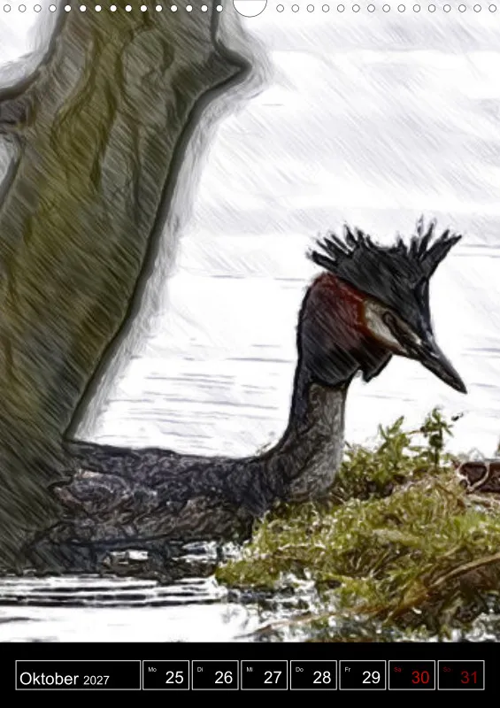 des oiseaux