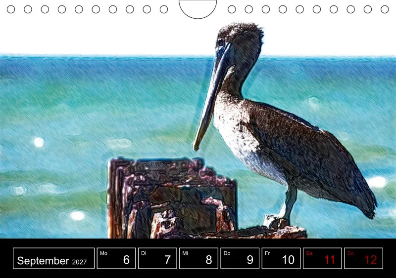 des oiseaux