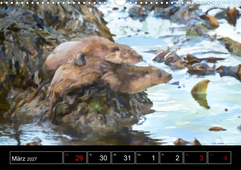 Scottish Wildlife
