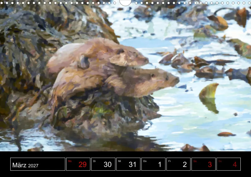Scottish Wildlife