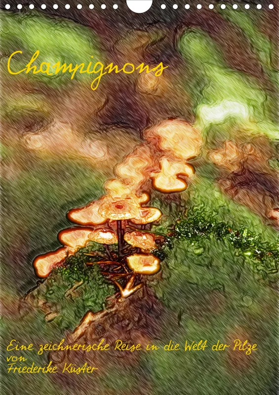 Champignons