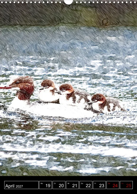 des oiseaux