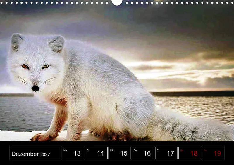 Animaux d'Europe