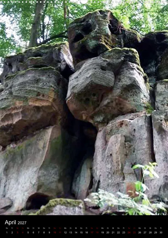 Nature Dreams