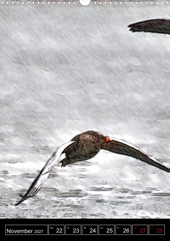 des oiseaux