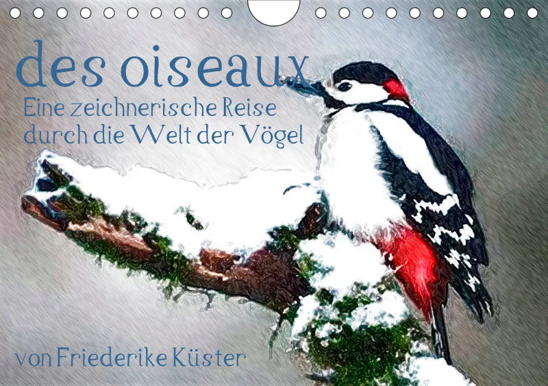 des oiseaux