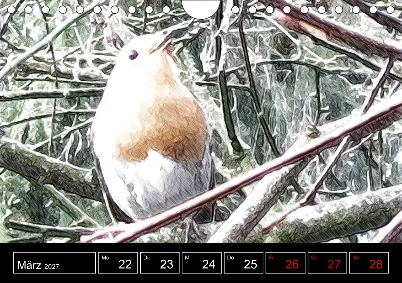 des oiseaux
