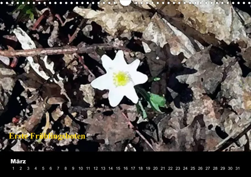 Die Rhön - Eine Landschaft mit Charakter