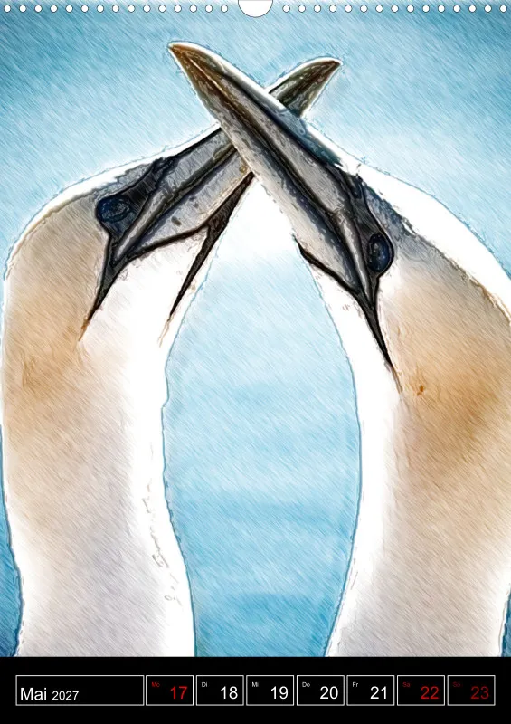 des oiseaux