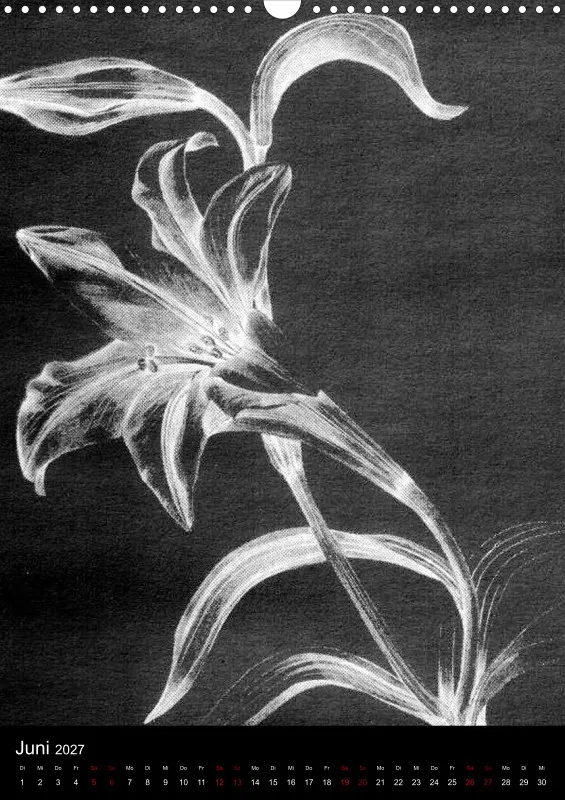 Fleures Noires(