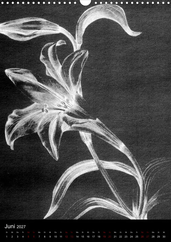 Fleures Noires(