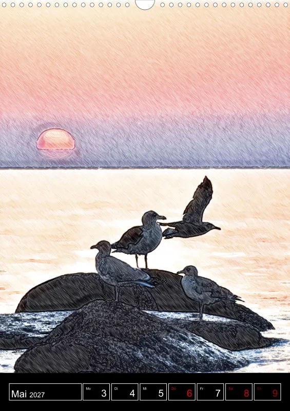 des oiseaux
