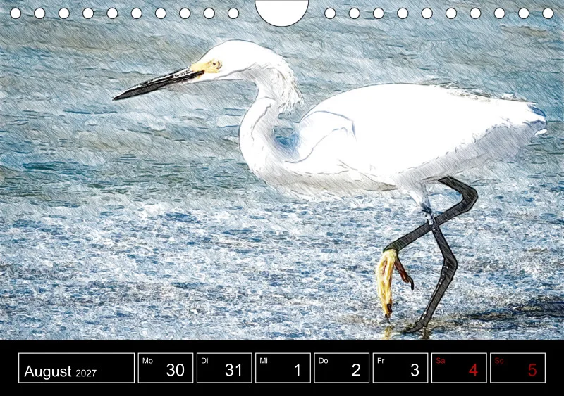 des oiseaux