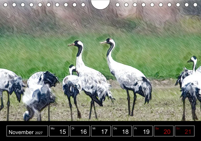 des oiseaux