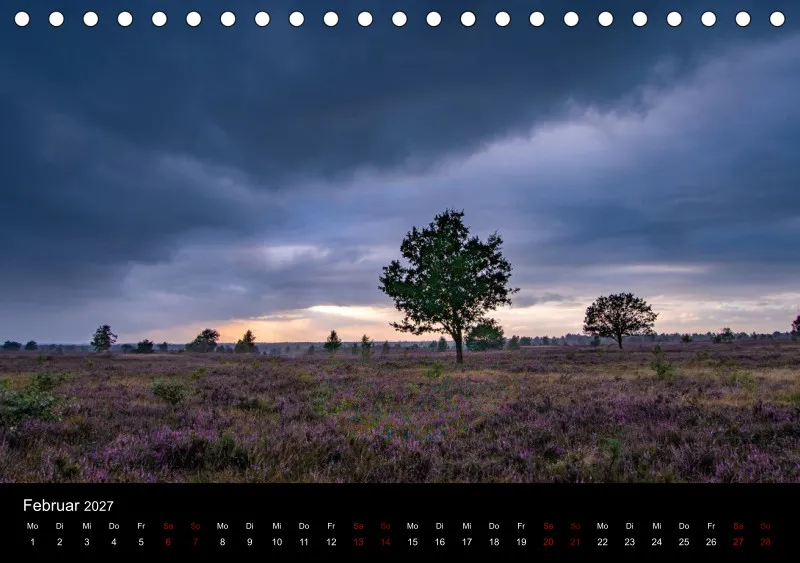 Die Lüneburger Heide