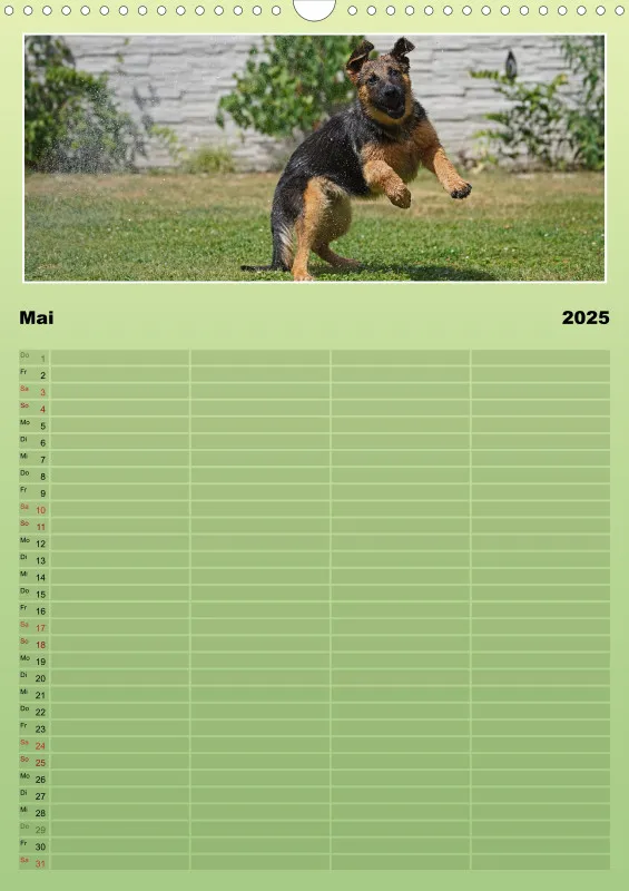 2025 A3 Familienplaner Schäferhündin