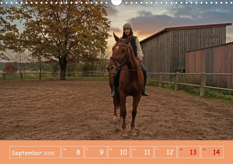 2025 A3 Faszination Reitsport - Wochenkalender