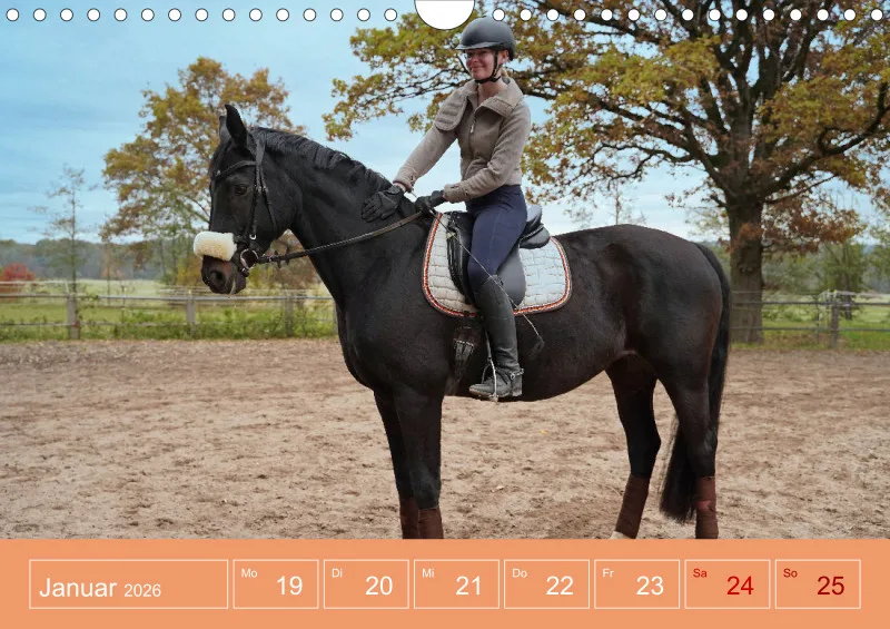 2026 A4 Faszination Reitsport - Wochenkalender