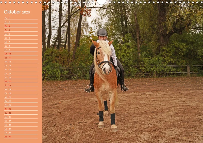 2026 A3 Planer Haflinger Mifisto und Reiterin