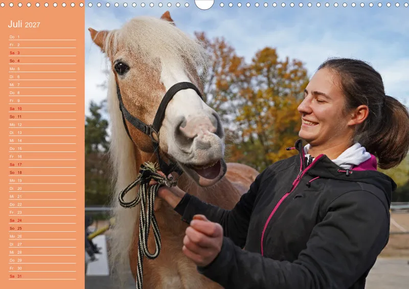 2027 A3 Haflinger Mifisto und Reiterin