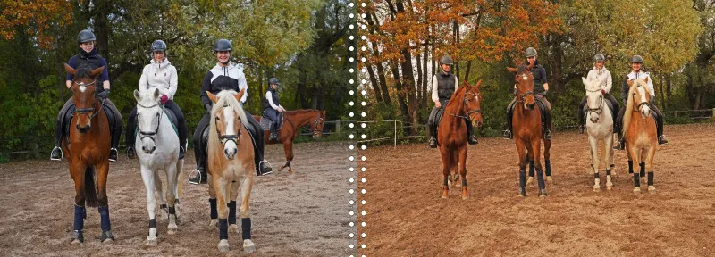 Fotoalbum A4 - Faszination Reitsport
