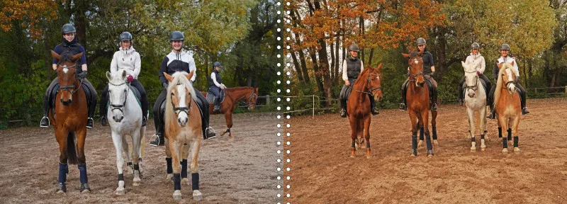 Fotoalbum A4 - Faszination Reitsport