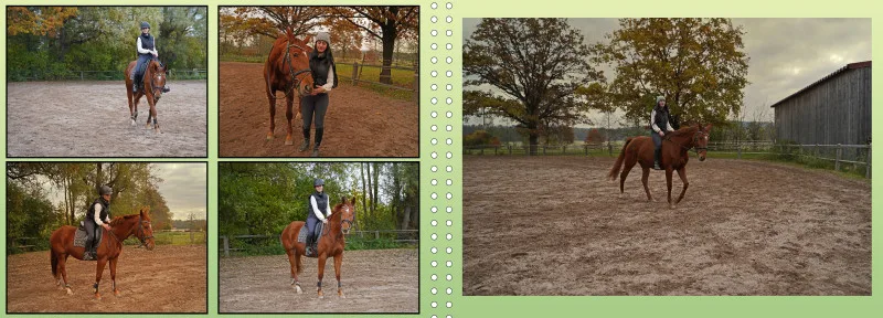 Fotoalbum A4 - Faszination Reitsport