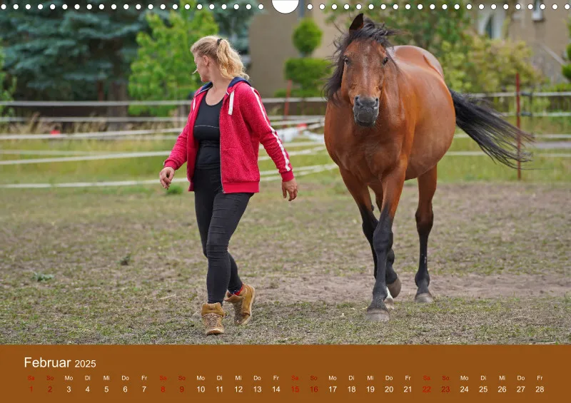 2025 A3 Faszination Trakehner