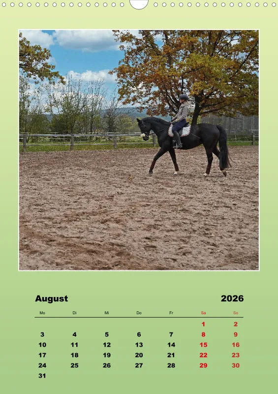 2026 A3 Faszination Bayer