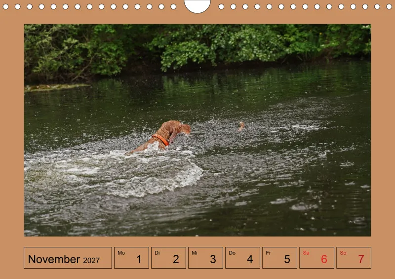 2027 A4 Wochenkalender Faszination Magyar Vizsla