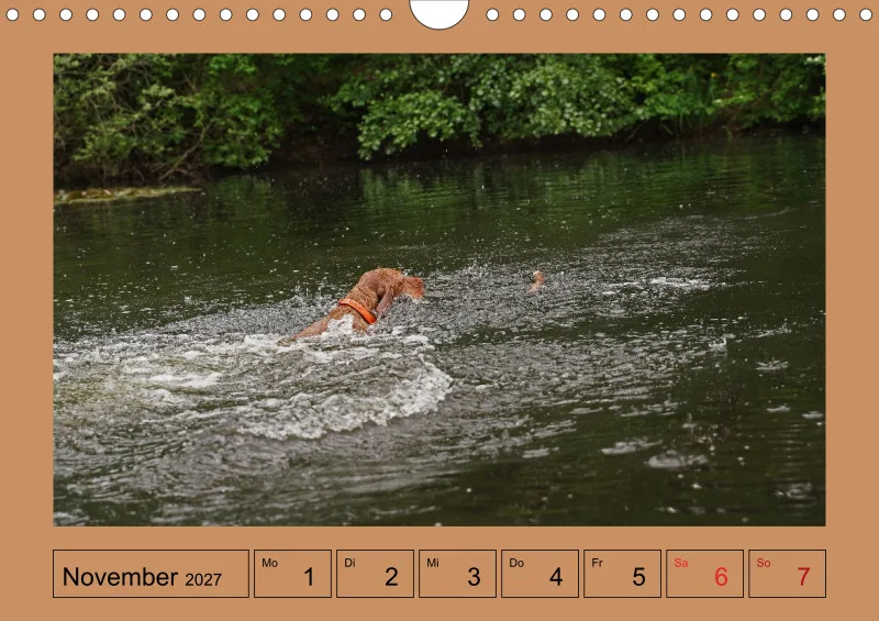 2027 A4 Wochenkalender Faszination Magyar Vizsla