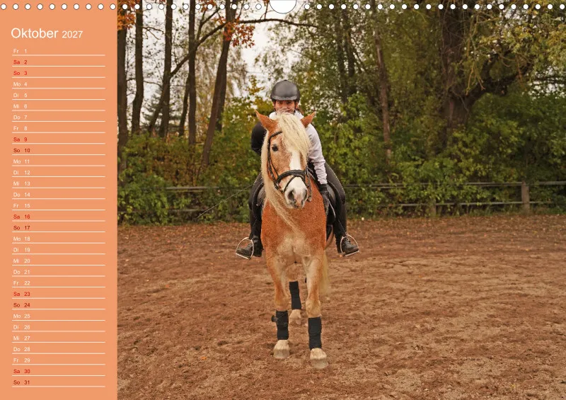 2027 A3 Haflinger Mifisto und Reiterin