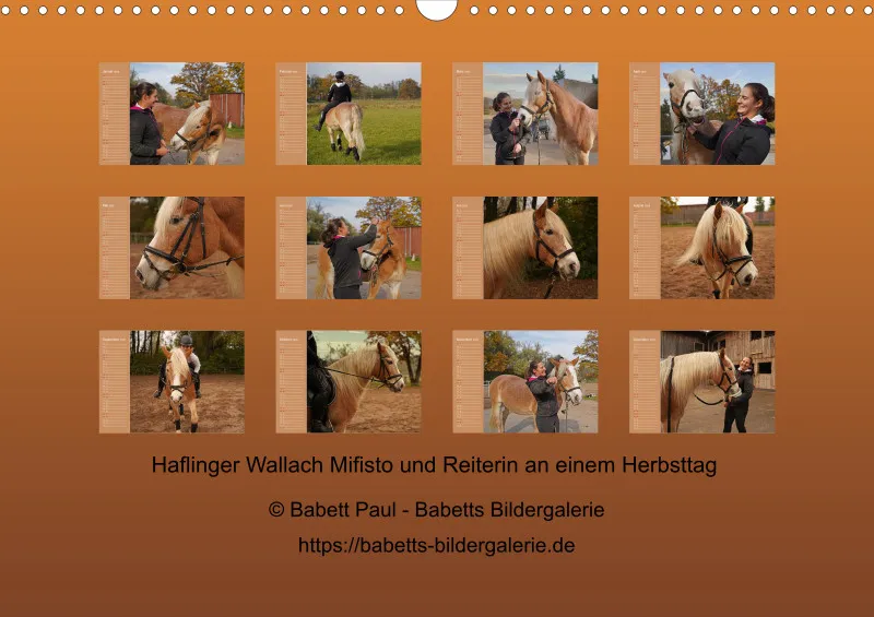 2026 A3 Faszination Haflinger