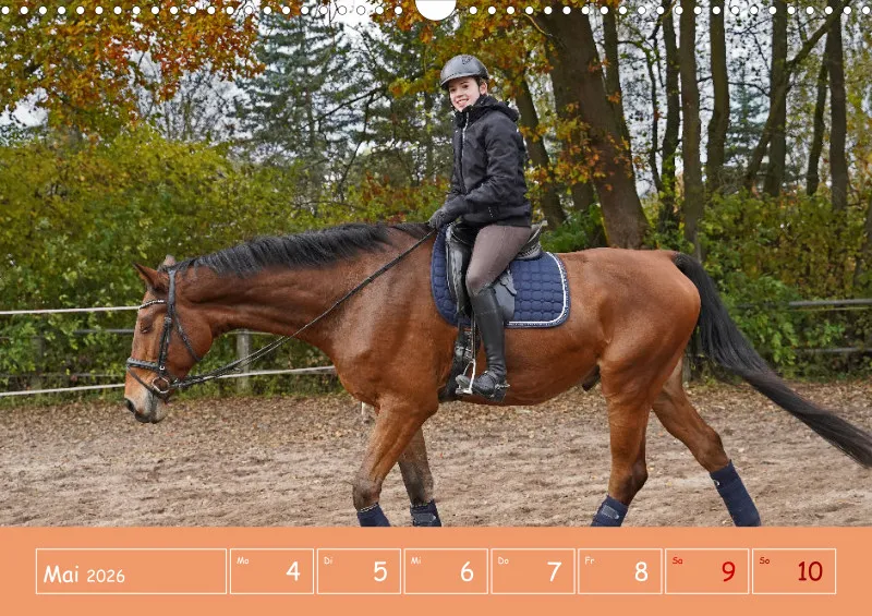2026 A3 Faszination Reitsport - Wochenkalender