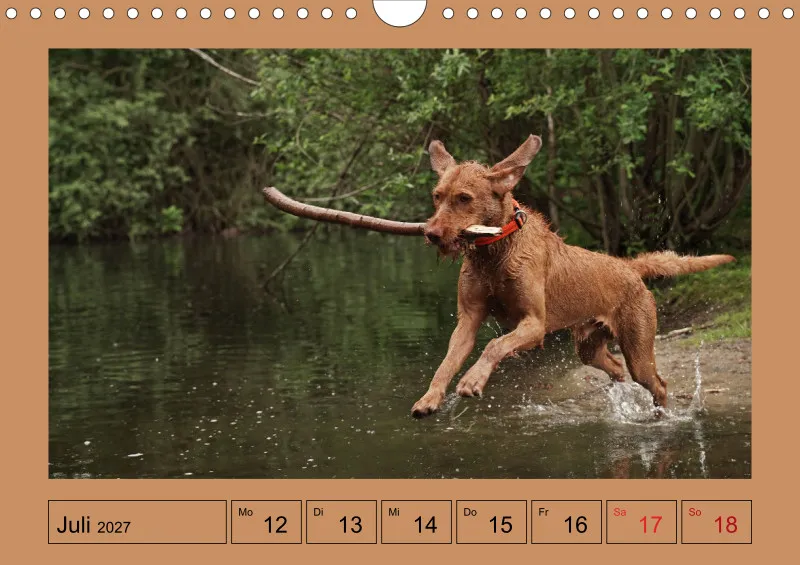 2027 A4 Wochenkalender Faszination Magyar Vizsla