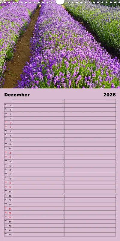 2026 Familienplaner Rundreise in England