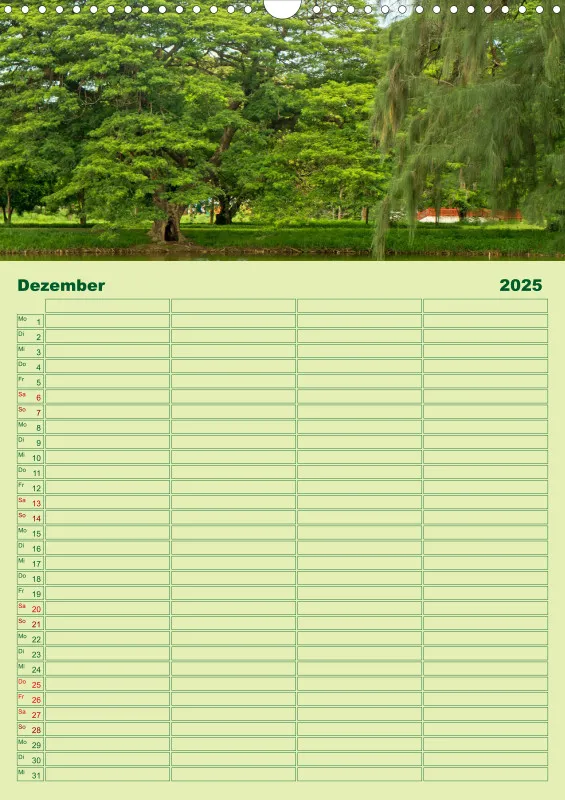 2025 A3 Planer Farbzauber Natur - Grün