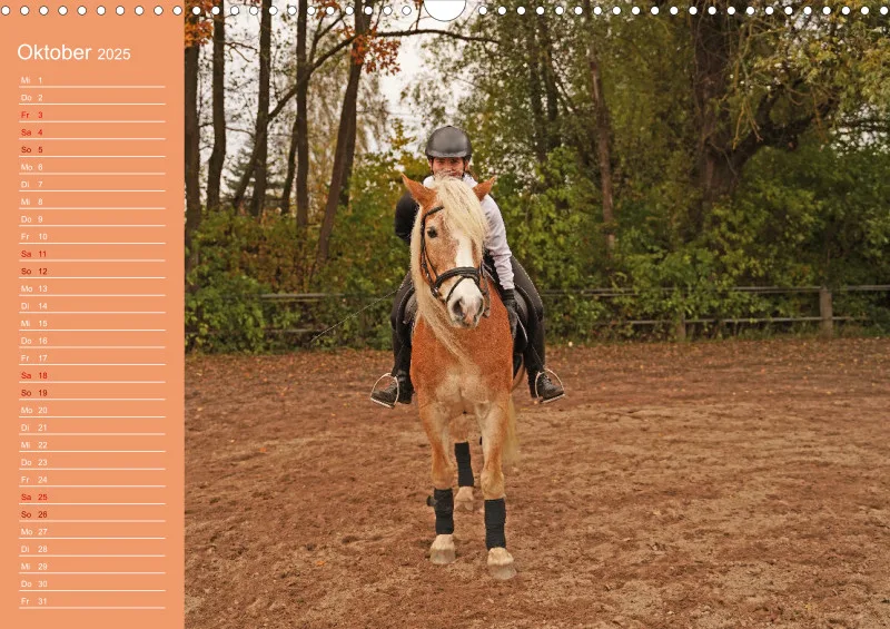 2025 A3 Haflinger Mifisto und Reiterin