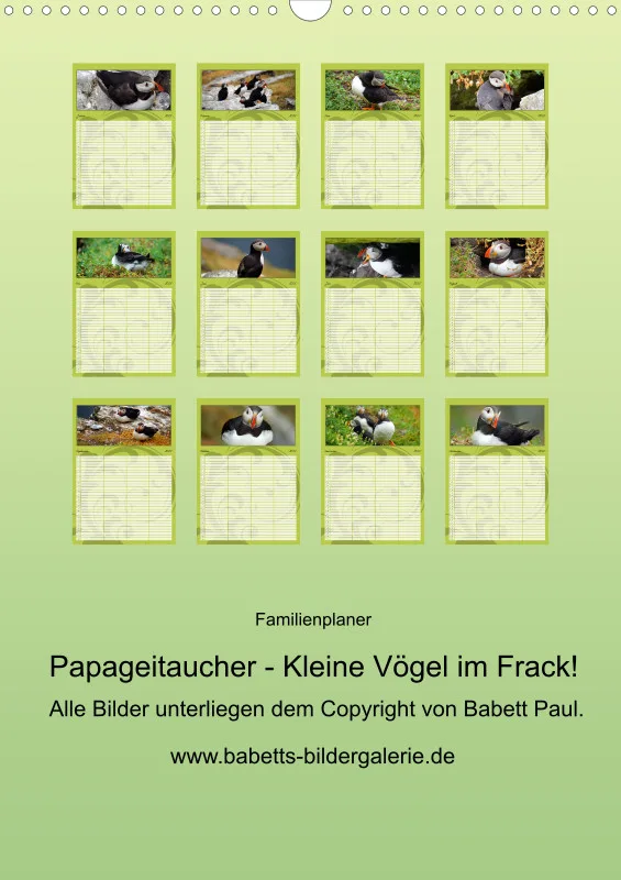 2025 A3 Papageitaucher-Kleine Vögel im Frack!