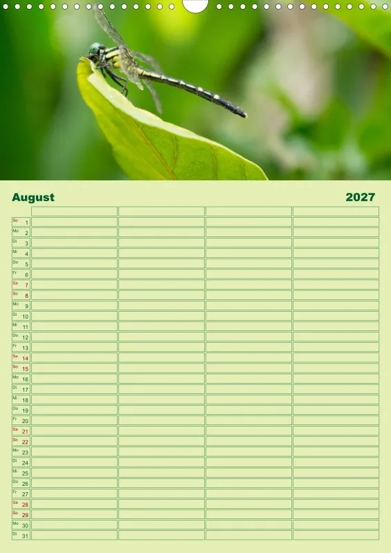 2027 A3 Planer Farbzauber Natur - Grün