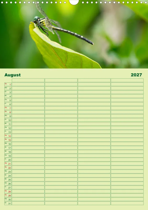 2027 A3 Planer Farbzauber Natur - Grün